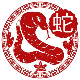 Chinese Snake