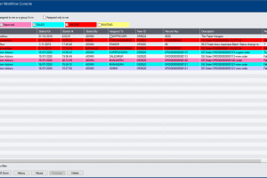 Extender workflow console