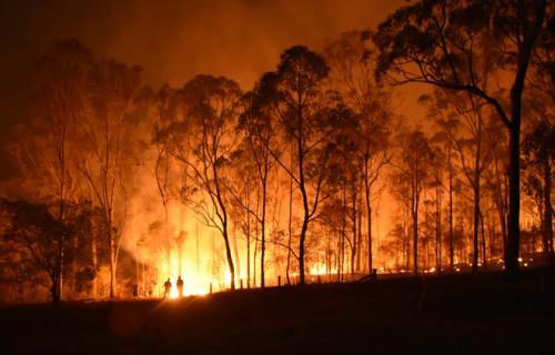 Bushfire