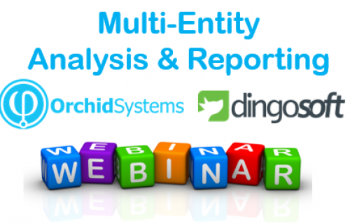 Multi-Entity Analysis & Reporting