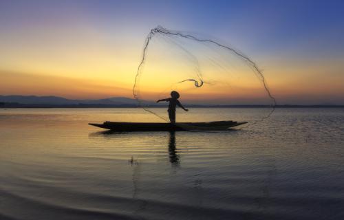 Casting a Net