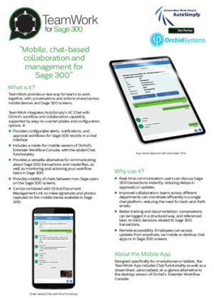 TeamWork for Sage 300 Brochure