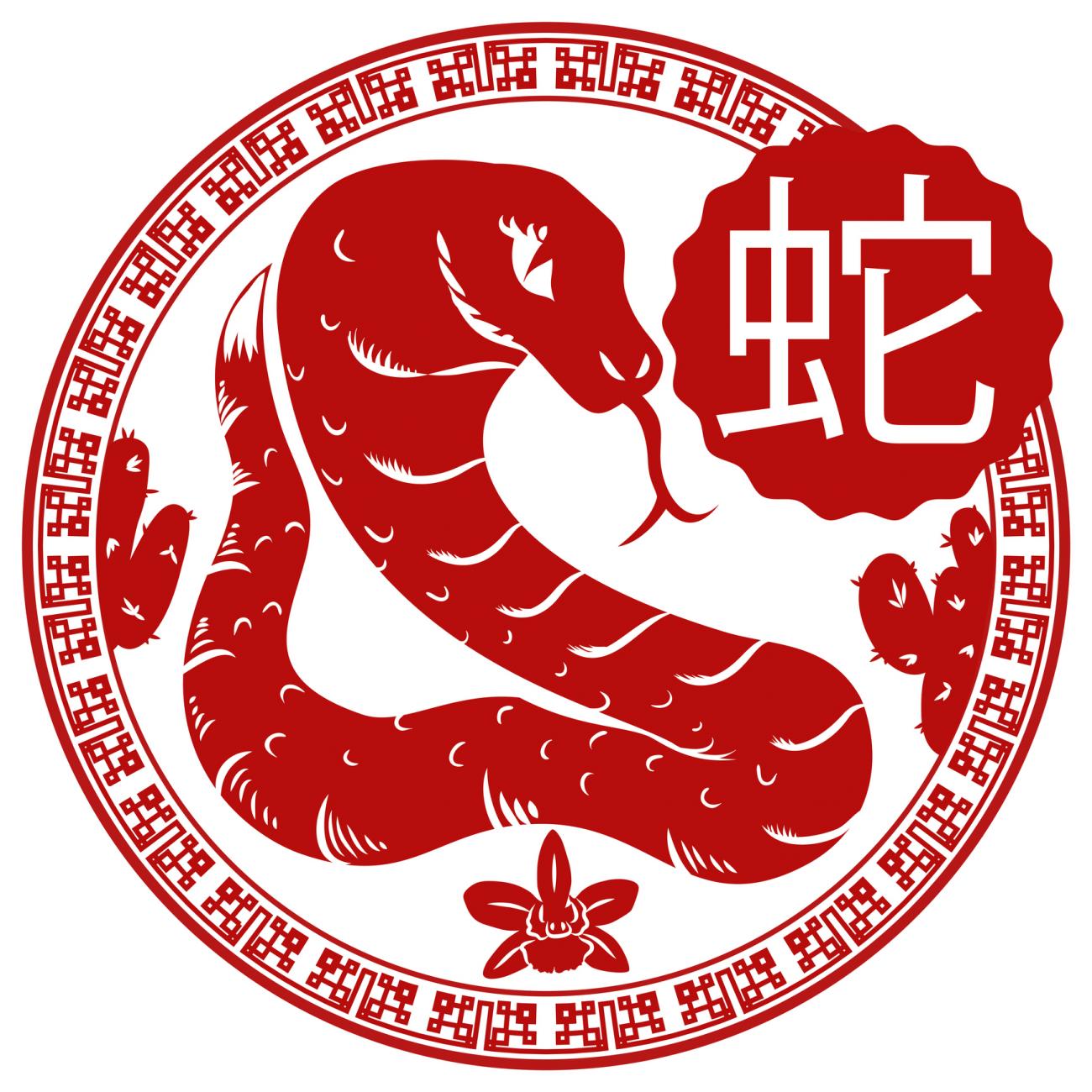 The Year of the Snake: Python adds fangs to Extender | Orchid Systems ...