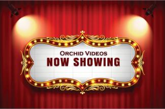 Orchid Videos Now Showing