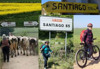 Camino Image 3