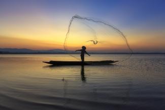 Casting a Net