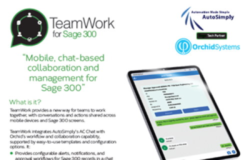 TeamWork for Sage 300 Brochure